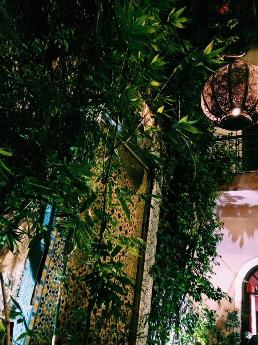 Processed with VSCO with c1 preset